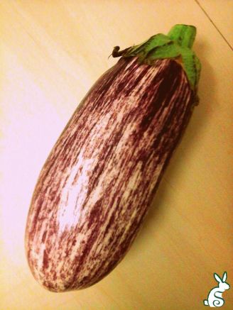 14970908_1153197321382480_1002801890_o-kopie